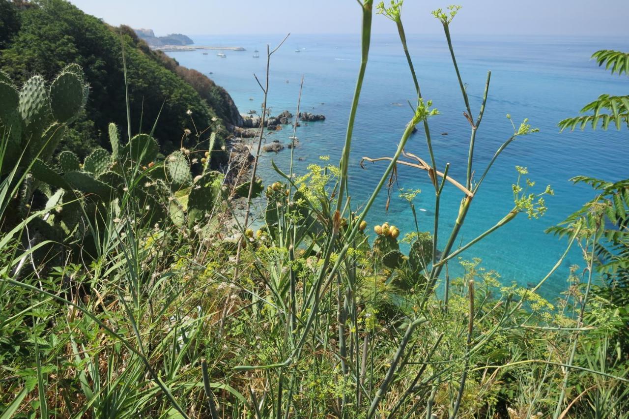 Il Limoneto 2, Casa Vacanze Parghelia-Tropea Apartment Bagian luar foto